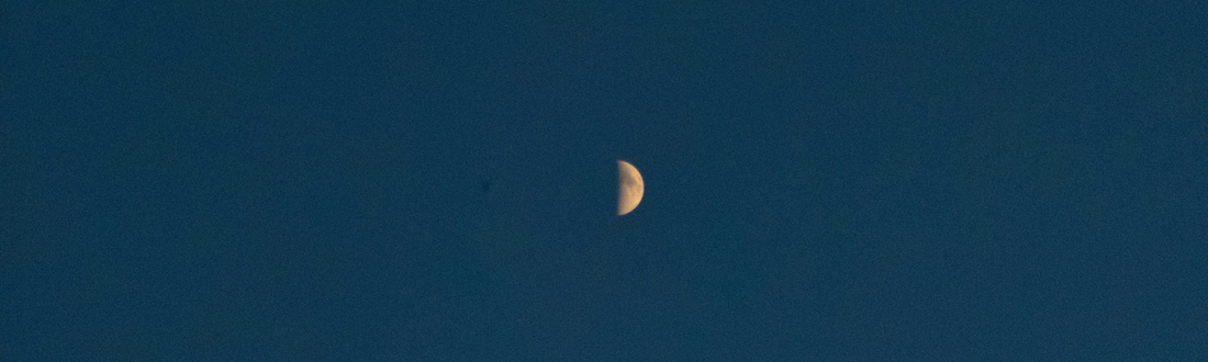Half moon in a deep blue sky